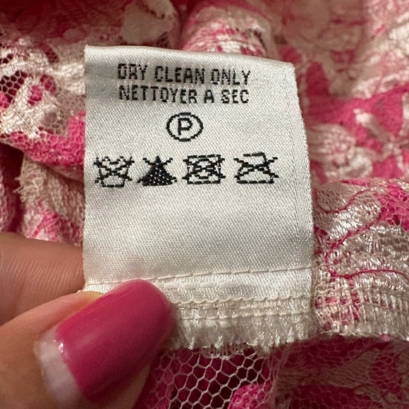 Yoana Baraschi Anthropology Fit and Flare Dress. Mesh with Pink Ribbon Overlay. - Picture 11 of 16